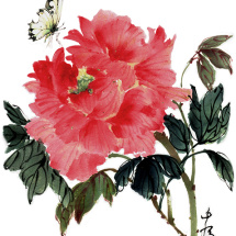Artist Grace Lin_Chinese-Painting_flower_peony_butterfly_1