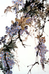 Grace_Chinese-Painting_flower_wisteria